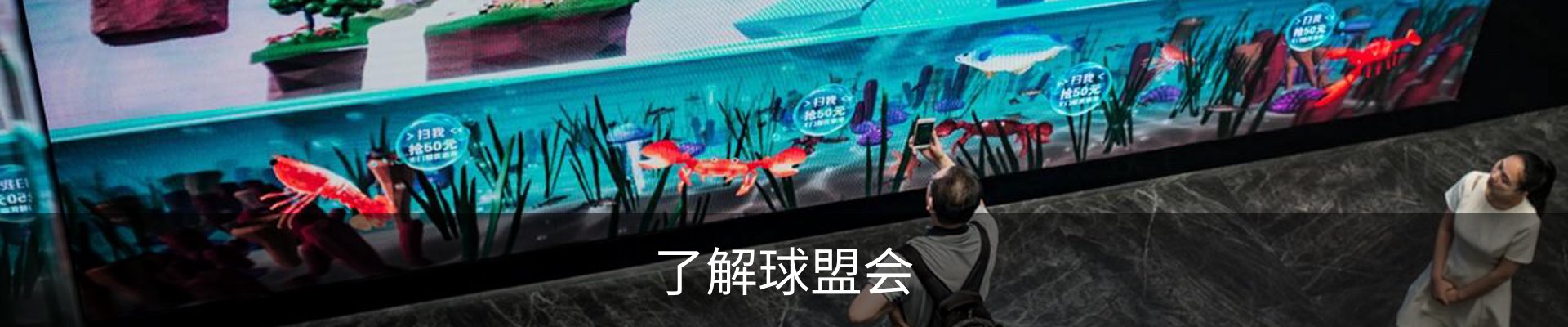 了解球盟会